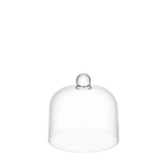 Polycarbonate Cloche 10.2×10.2cm