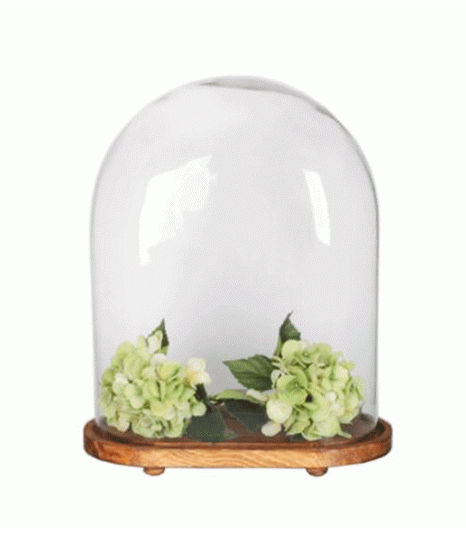 Cake Dome | OVAL DISPLAY DOME WITH BASE 50 X 40 X 18 CM