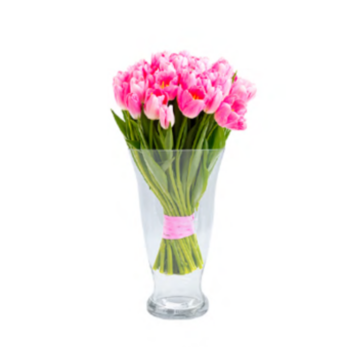 ﻿Hanxi Tulip Large 25 x 14.5cm